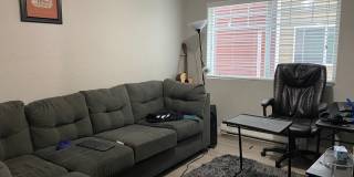 Westwood Apartments Gallery 143