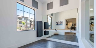 Zone Gallery 23