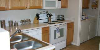 1905 Dove Creek Circle Gallery 4