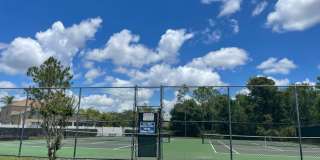SOUTHEAST ORLANDO  - NICE UPGRADED HOUSE IN TIVOLI WOODS VILLAGE Gallery 28