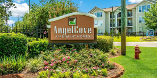 Angel Cove Gallery 1