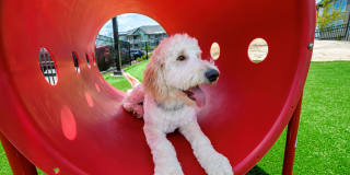 Town Triangle Crossing Gallery 55