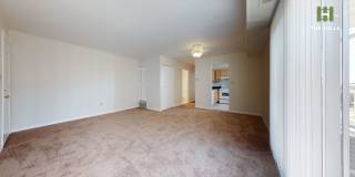 Mallow at The Hills Gallery 4