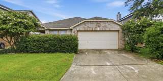 25537 Gold Yarrow Gallery 1