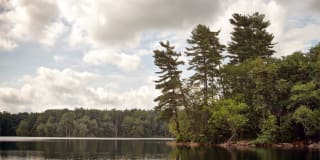 The Winthrop Gallery 30