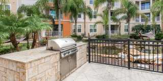 RIZE at Winter Springs Gallery 39