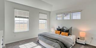 3 Bedroom 3 Bath in Mosaic! 3 Bedroom 3 Bath in Mosaic! Gallery 13