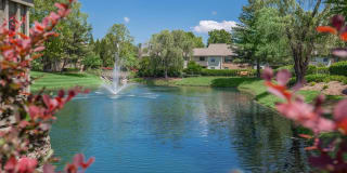 South Wind Apartment Homes Gallery 56