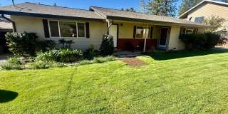 240 Scholtz Ave Gallery 1