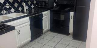 3016 Live Oak Gallery 6