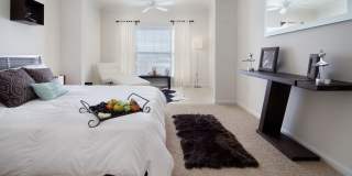 The Palmer Gallery 1