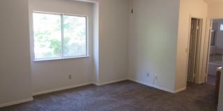 4 Bed, 2.5 Bath Home with 3-Car Garage in Clovis Unified School District Gallery 15