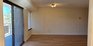 Coolidge Corner, Prime location!  West facing bright condo w/Garage Parking Available 9/1! Walk to Longwood! Gallery 14