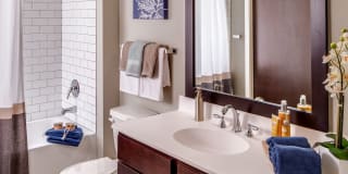 The Paxon Gallery 19