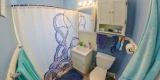 3D Tour Available - Washer & Dryer Included + Pet-Friendly + Off-Street Parking! Available July 3rd! Gallery 6