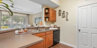 Advenir at Wynstone Gallery 5