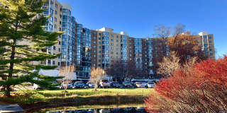 15101 INTERLACHEN DRIVE Gallery 1