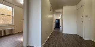292 Catherine Street - 3 Gallery 5
