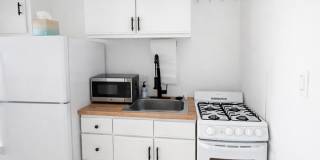 ONE11 COLLECTION - ROYAL OAK Gallery 15