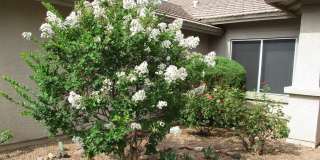 Unfurnished, 1-year long-term rental Gallery 14