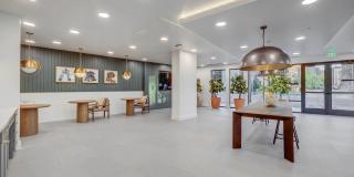Camber Gallery 11