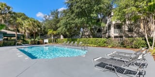 The Falls at New Tampa Gallery 11