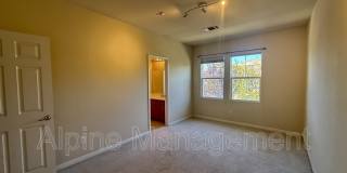 4373 Red Maple Way - Main Gallery 19