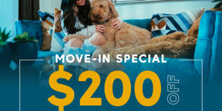 Maverick Gallery 288