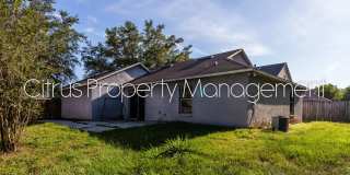 Timberleaf Village 3-Bedroom, 2-Bath Home Gallery 18
