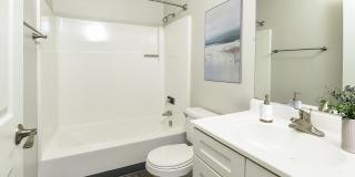 Stonecliffe Gallery 12