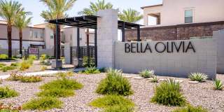 Bella Olivia Gallery 4