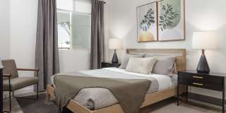 ZIA Apartments Gallery 7