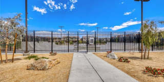 911 Cadence View Way Gallery 22