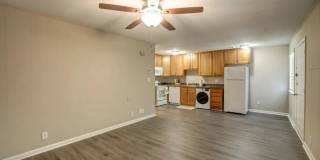 Autumn View Gallery 14