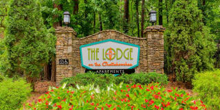 Lodge on the Chattahoochee Gallery 27