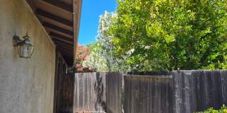 Gorgeous 3 Bedroom, 2 Bath home in great location Gallery 21