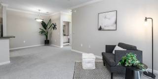 Elevate 155 Gallery 6