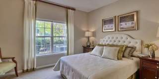 Lullwater at Saluda Pointe Gallery 27