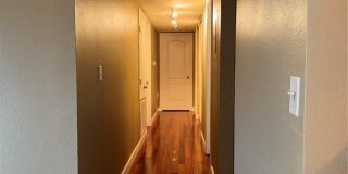 2053 DIXIE BELLE DRIVE Gallery 14