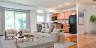 Richmar Owings Mills Gallery 1