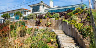 517 Paseo De La Playa Gallery 10