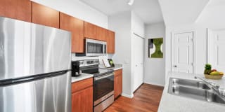 ReNue Downtown Gallery 16