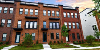 22799 TAWNY PINE Gallery 1