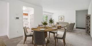 Hamilton Springs Gallery 4