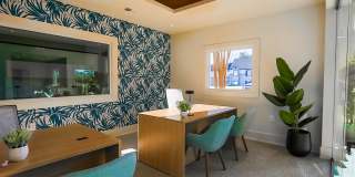 Madison at Adams Farm Gallery 23