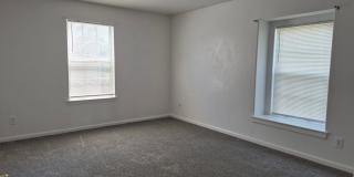 Lake Shores Gallery 11