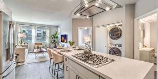 Aspire at Alper Gallery 8