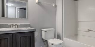 Forest View Gallery 9