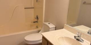 3 BR/2BA | Newly Renovated Single Family Home |Attached garage  | Fenced  backyard | In Cordova! Gallery 14