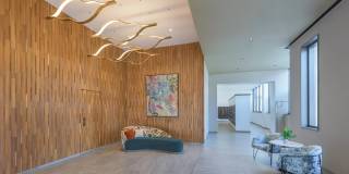 The Carson Gallery 49